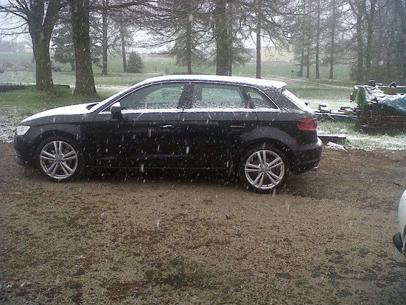 img-6344182ed5.jpg?v=1