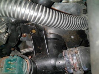 ea536e688430433.jpg