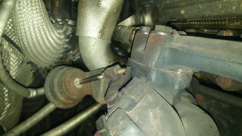 ef7955513268217.jpg