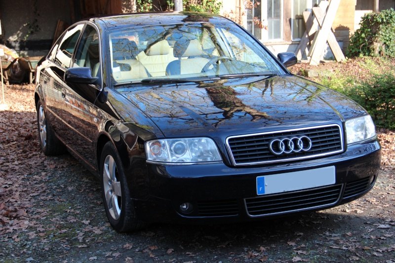 expert10.jpg