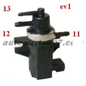 img-306986461d.jpg?v=6