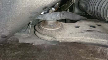 f30c3e441556946.jpg