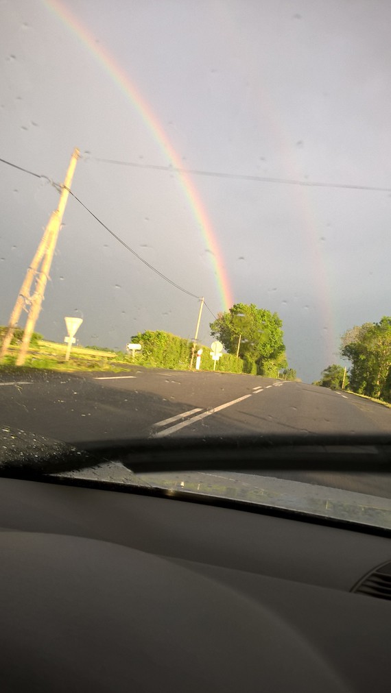 img-59995450a4.jpg?v=1