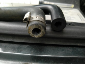 f53d8c711804863.jpg