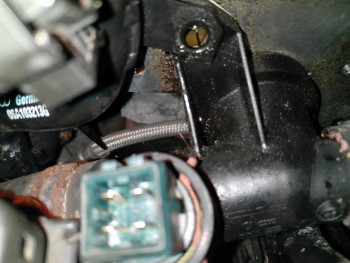 f646e2688430473.jpg