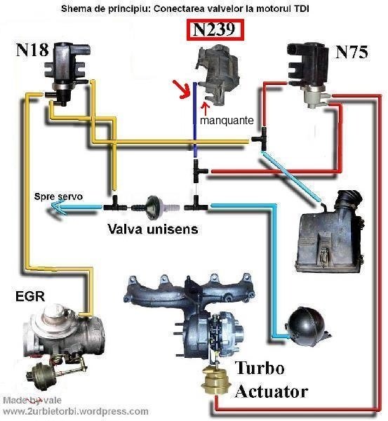 img-352694525a.jpg?v=6