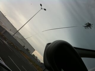 IMG_0332.JPG%20(2).JPG?psid=1