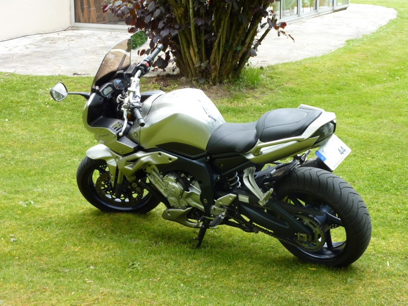 fz1arg10.jpg