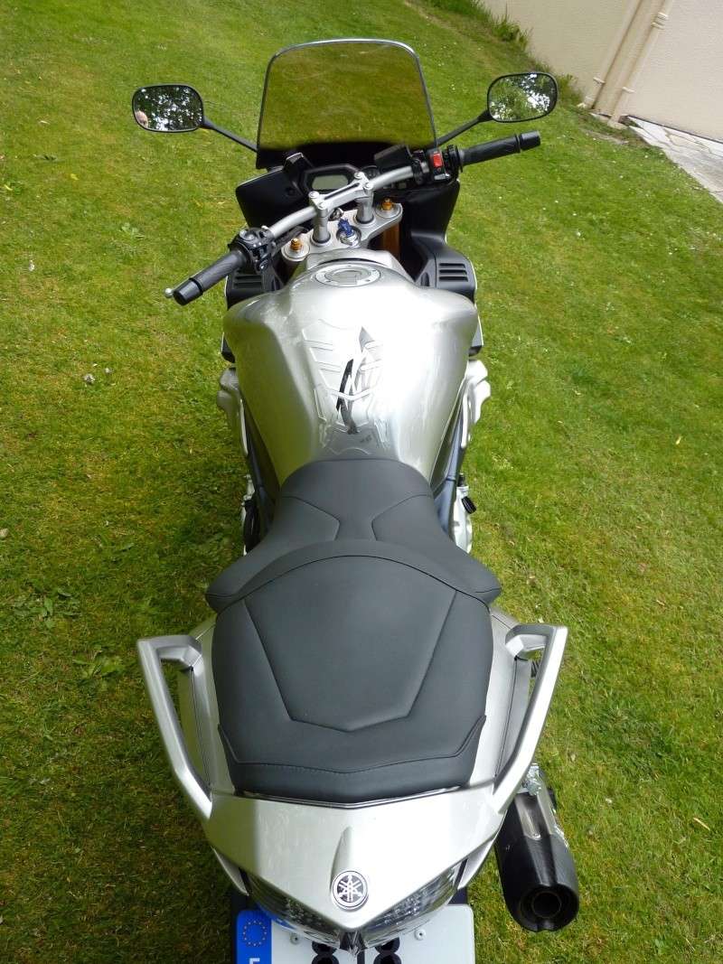fz1des10.jpg