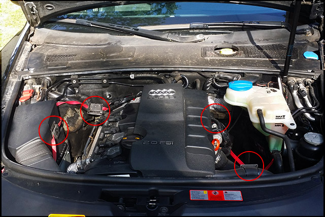 image.num1506293172.of.world-lolo.com.jp