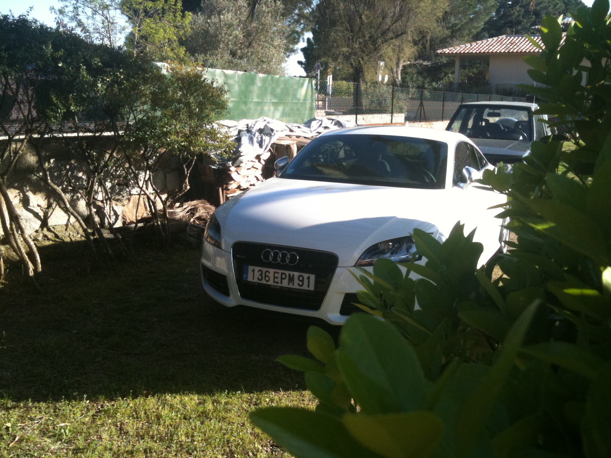 img0621ll.jpg