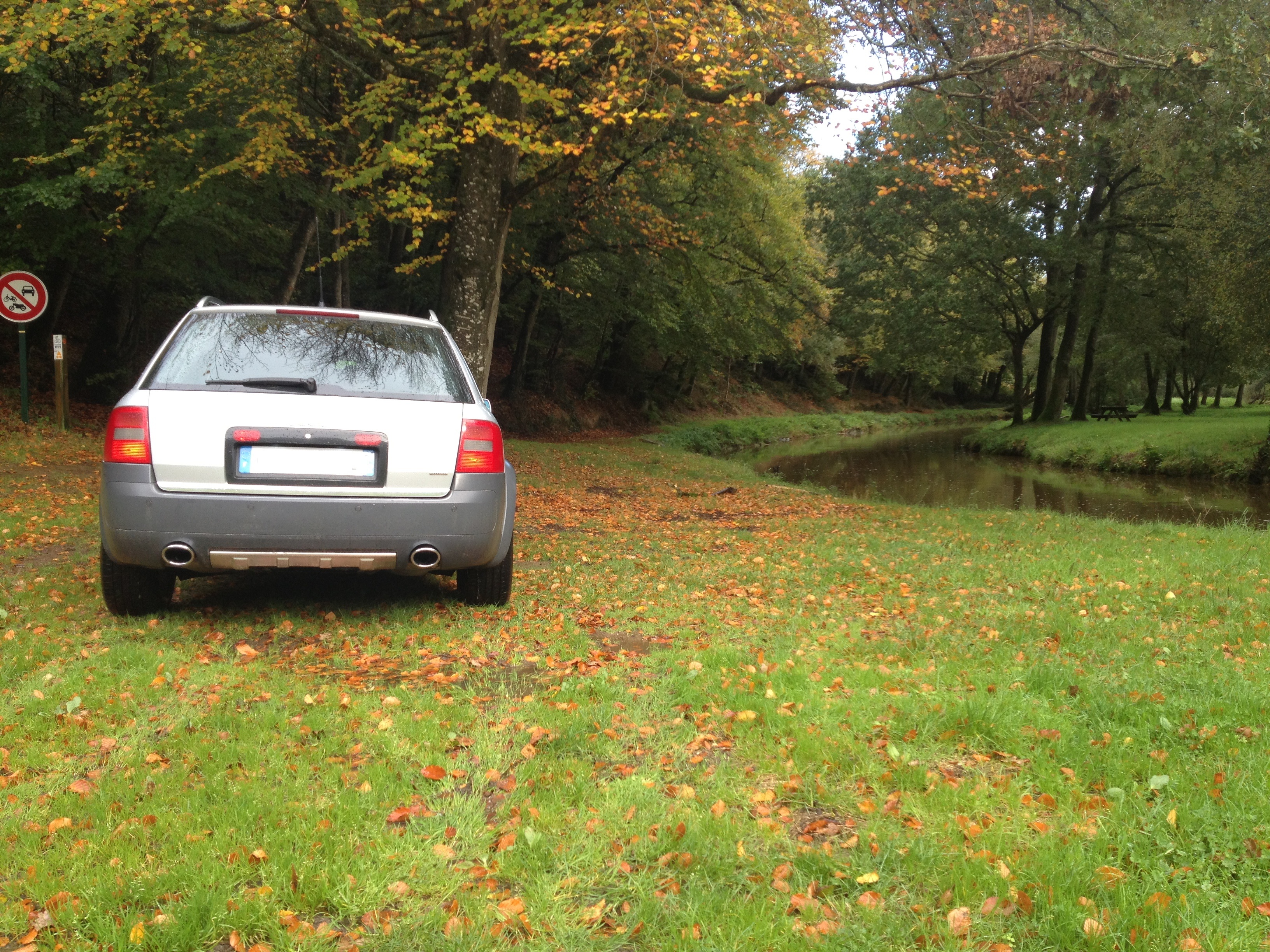 img1096r.jpg