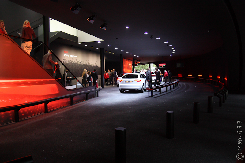 img3477d.jpg