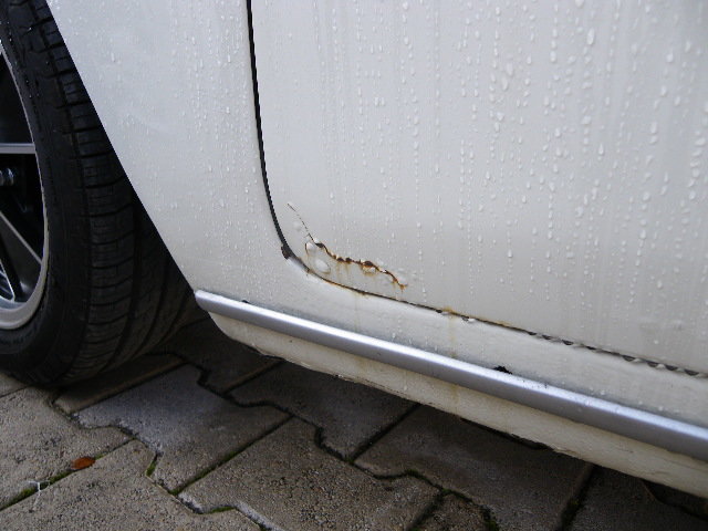 imgp0220.jpg