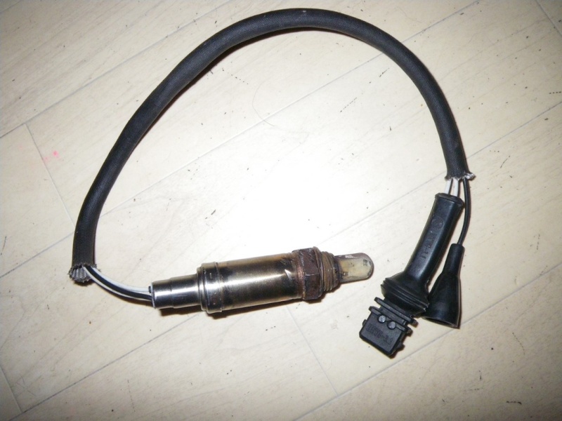 imgp0711.jpg