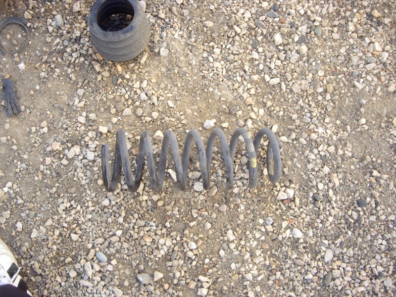 imgp9725.jpg