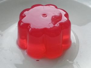 jelly-premier-essai-2.JPG