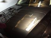 mini_314568IMG4964.jpg