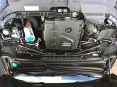 mini_387488IMG4946.jpg