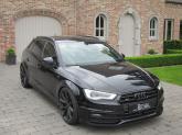 mini_715223IMG0059B.jpg