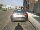 mini_807215DSC0237.jpg