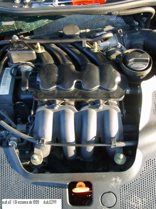 mot_210.jpg