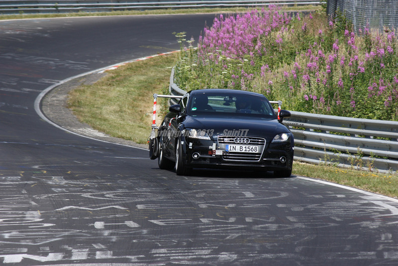 mulets201300294-L.jpg
