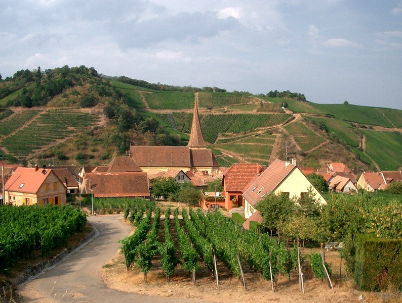 niedermorschwihr-2.jpg