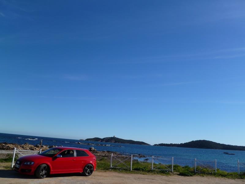 p1000410.jpg