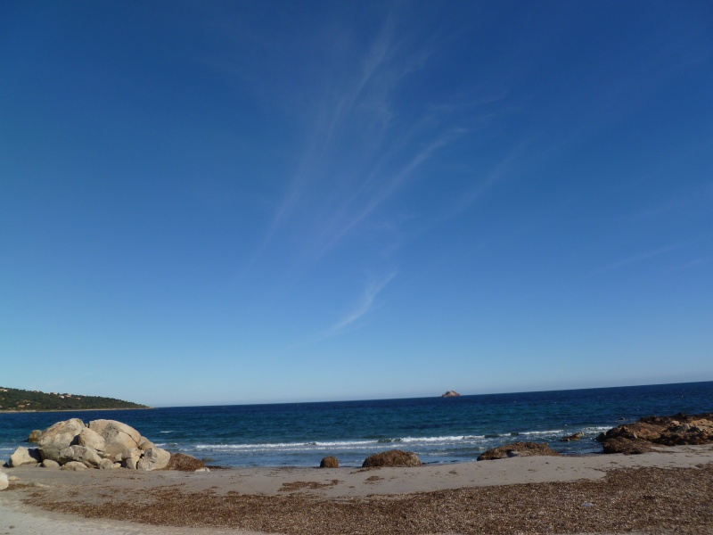 p1000411.jpg