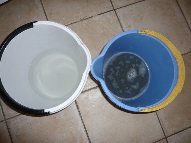 p1050428.jpg