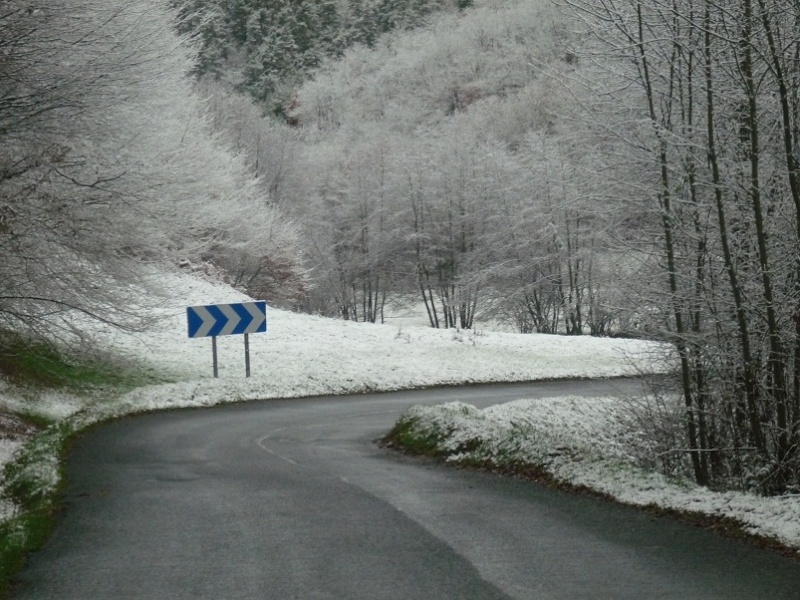 p1080962.jpg