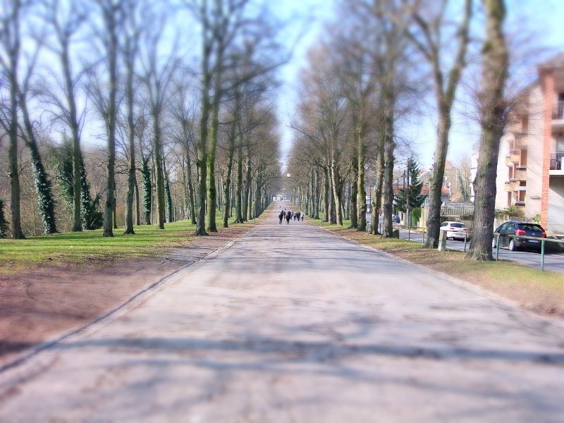 p3030017.jpg