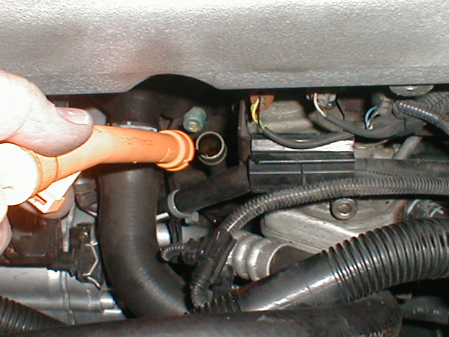 p6300005.jpg