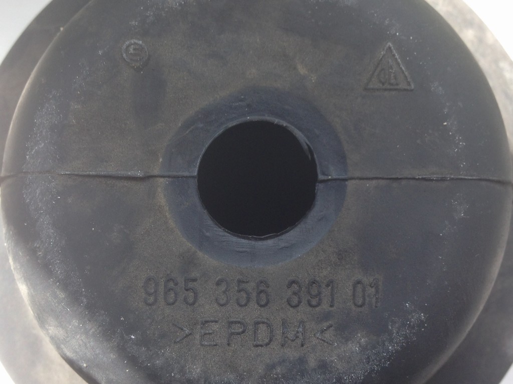 qOo4e1dn.jpg