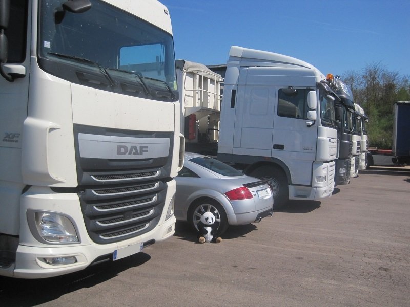sC1qjxV.jpg