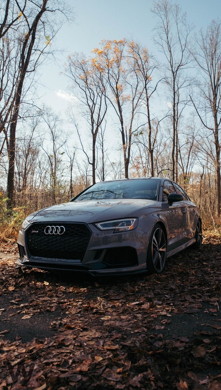 sL276u8.jpg
