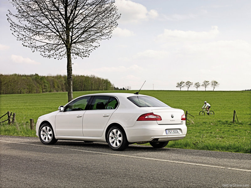 skoda-11.jpg