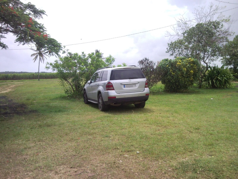 snc00315.jpg