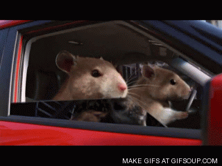 sup-hamster-o.gif