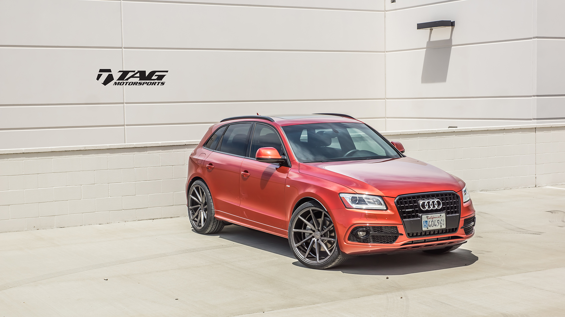 tag_orange_q5_vossen-14.jpg
