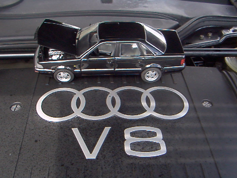 v8-model_8.jpg
