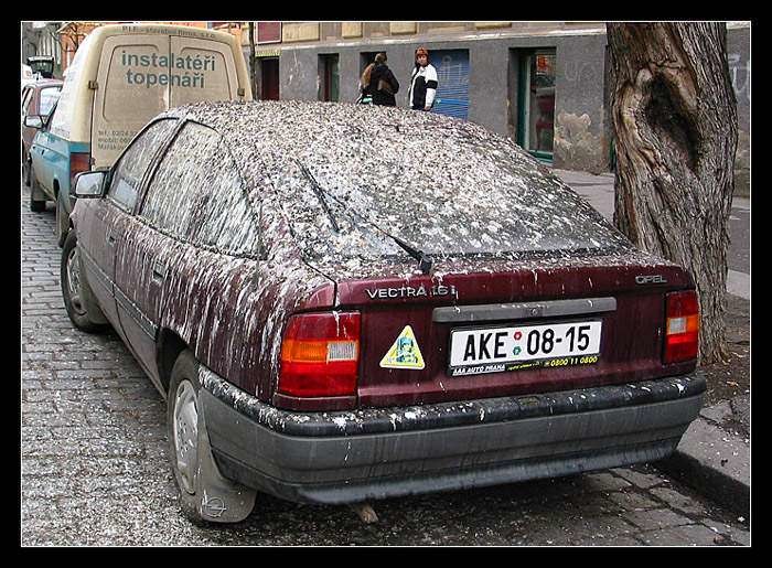 voiture-001.jpg