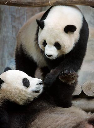 xin_160902041624673009212.jpg