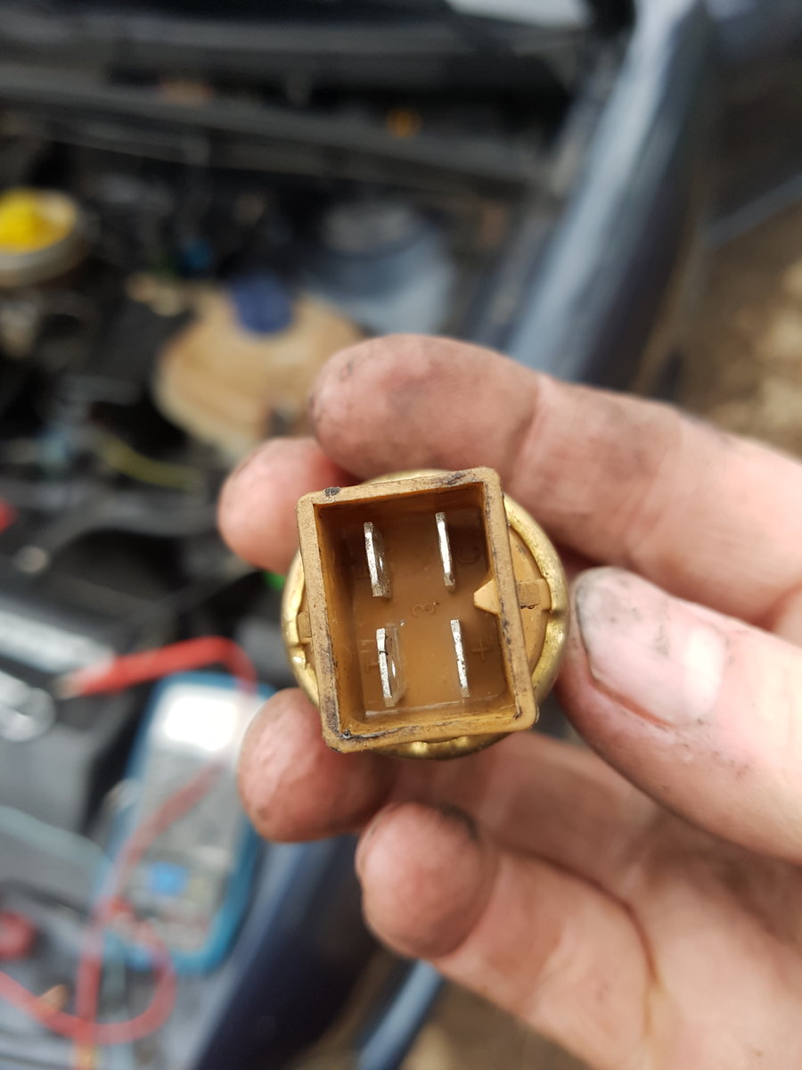 20180330_183453[1].jpg