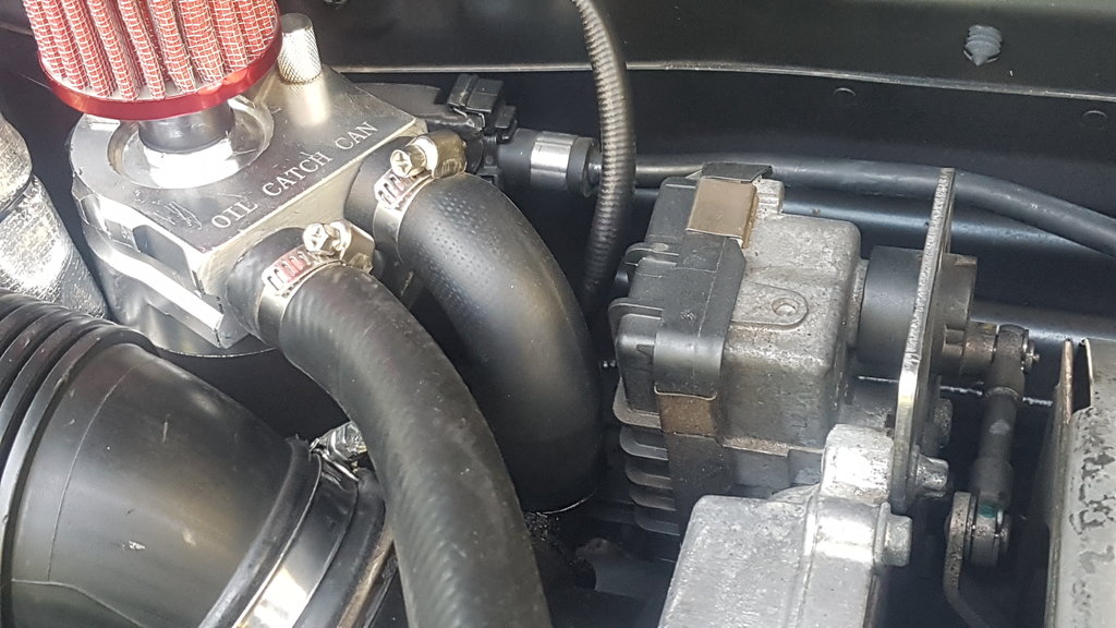 20180801_164315.jpg