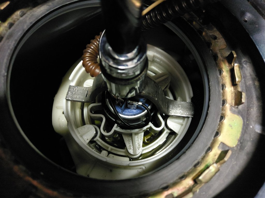 IMAG1117.jpg