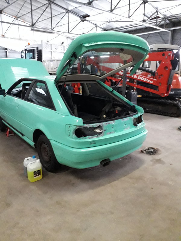 20190203_095146.jpg