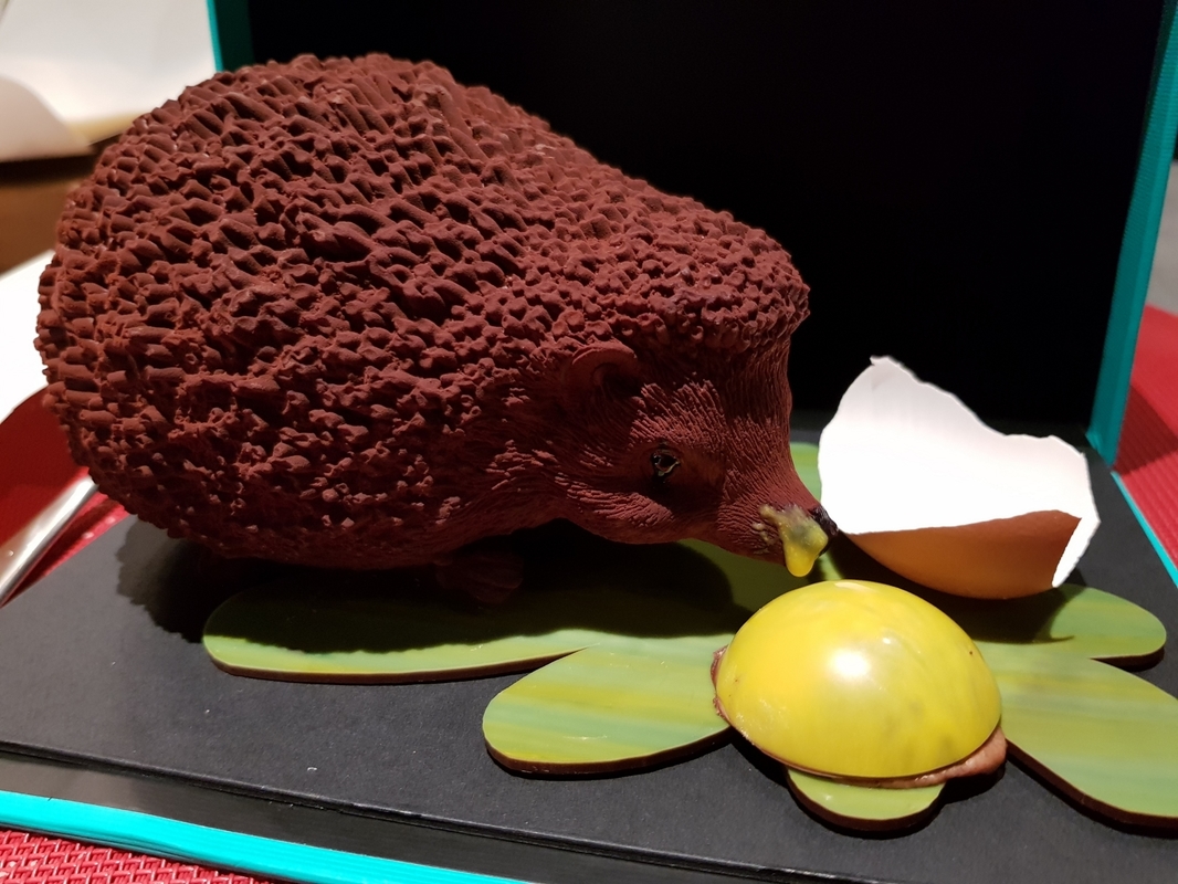 20190412_214455.jpg
