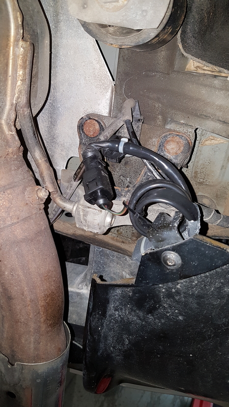 20190422_100318.thumb.jpg.fe84dcc06880f632040620120e3689bd.jpg